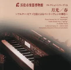 Violin Sonata No.5 in F Major, Op. 24 