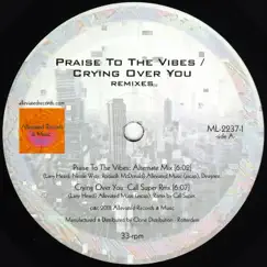 Praise to the Vibes (Mr. Fingers Alternate Version) Song Lyrics