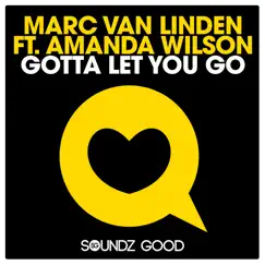 Gotta Let You Go (feat. Amanda Wilson) [Remixes] by Marc van Linden album reviews, ratings, credits