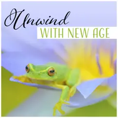 Unwind with New Age - Healing Music and Nature Sounds to Relax After Work by Gentle Crystal Sounds Divine album reviews, ratings, credits