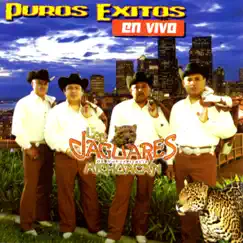 Puros Éxitos en Vivo by Los Jaguares De Michoacan album reviews, ratings, credits