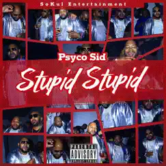 Stupid Stupid - Single by Psyco Sid album reviews, ratings, credits
