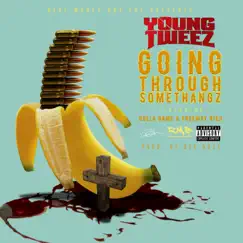 Going Through Somethangz (feat. Dolla Dame & Freeway Rich) - Single by Young Tweez album reviews, ratings, credits