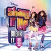 Shake It Up song lyrics