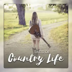 Taste of Country Life: Southern Pilgrim, Fast Cowboys Dance, Wild Western Bar by Wild Tennessee Guitar Players album reviews, ratings, credits
