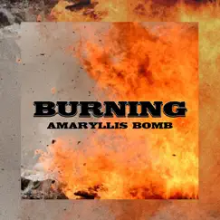 Burning - Single by Amaryllis Bomb album reviews, ratings, credits