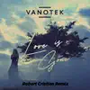 Love Is Gone (Robert Cristian Remix) - Single album lyrics, reviews, download