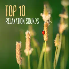 Top 10 Relaxation Sounds: Zen Music for Mind, Body Soul Harmony, Healing Songs for Spiritual Connection and Chakra Balancing by Relaxing Zen Music Ensemble album reviews, ratings, credits