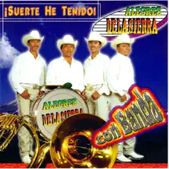 Suerte He Tenido Con Banda by Alegres de la Sierra album reviews, ratings, credits
