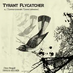 Tyrant Flycatcher (Cheat Code Remix) Song Lyrics