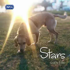 Stars - Single by Lucy Ellie album reviews, ratings, credits
