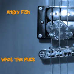 What the Pluck - Single by Angry Fi5h album reviews, ratings, credits