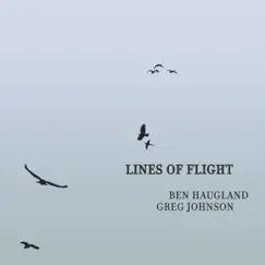 Lines of Flight by Ben Haugland & Greg Johnson album reviews, ratings, credits