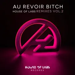 Au Revoir Bitch (Oscar Velazquez Groove Mix) Song Lyrics
