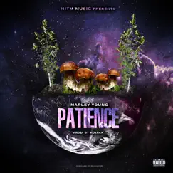 Patience - Single by Marley Young album reviews, ratings, credits