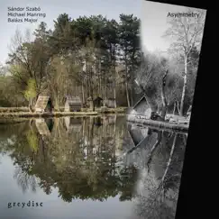 Asymmetry by Sándor Szabó, Michael Manring & Balazs Major album reviews, ratings, credits