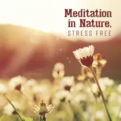 Morning Meditation Song Lyrics