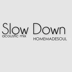 Slow Down (Acoustic Mix) - Single by Homemadesoul album reviews, ratings, credits