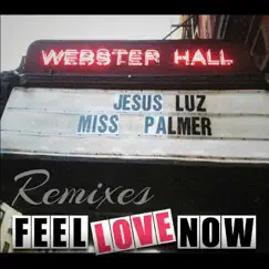 Feel Love Now (Remixes) - EP by Jesus Luz & Miss Palmer album reviews, ratings, credits