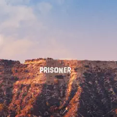 Prisoner (B-Sides) by Ryan Adams album reviews, ratings, credits