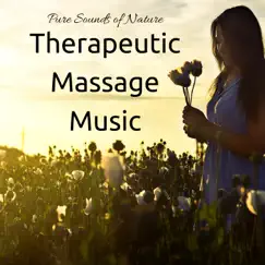 Therapeutic Massage Music - Pure Sounds of Nature & Healing Sound for Reiki and Meditation by Massage Therapy Room album reviews, ratings, credits