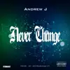 Never Change - Single album lyrics, reviews, download