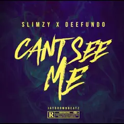 Can't See Me - Single by Slimzy, Dee Fundo & Jay Brown album reviews, ratings, credits