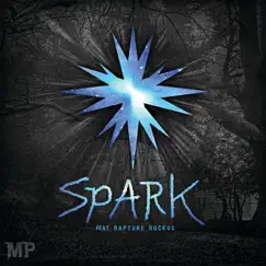 Spark (feat. Rapture Ruckus) Song Lyrics