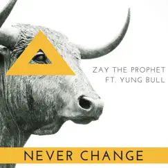 Never Change (feat. Yung Bull) - Single by Zay the Prophet album reviews, ratings, credits