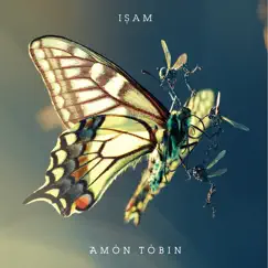 Morning Ms Candis - Single by Amon Tobin album reviews, ratings, credits