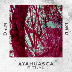 Ayahuasca Song Lyrics