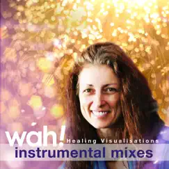 Healing Visualisations (Instrumental Mixes) by Wah! album reviews, ratings, credits