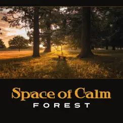 Space of Calm: Forest – Deep Relaxation, Contemplation Eternity, Letting Go of Tension and Stress, Equanimity by Nature Music Sanctuary album reviews, ratings, credits