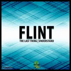 The Last Thing - Single by Flint album reviews, ratings, credits