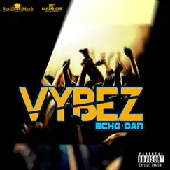 Vybez - Single by Echo Dan album reviews, ratings, credits