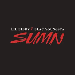 Sumn (feat. Blac Youngsta) - Single by Lil Bibby album reviews, ratings, credits