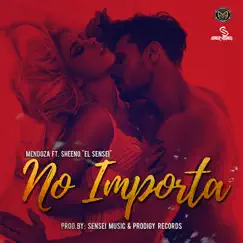 No Importa (feat. Sheeno el Sensei) Song Lyrics