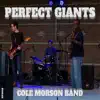 Perfect Giants album lyrics, reviews, download