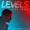 Levels (Steven Redant Dub Mix) song lyrics