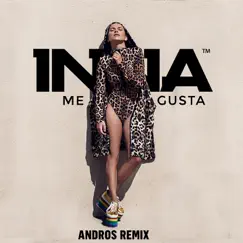 Me Gusta (Andros Remix) - Single by Inna album reviews, ratings, credits