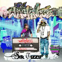 The Wackness by Sir Tizzy album reviews, ratings, credits