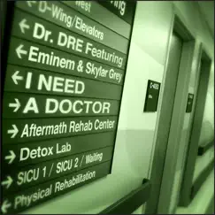 I Need a Doctor (feat. Eminem & Skylar Grey) Song Lyrics