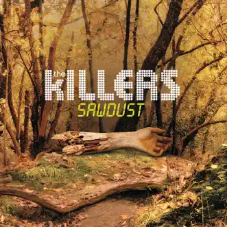 Download Shadowplay The Killers MP3