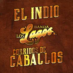 El Indio Corridos de Caballos by Banda Los Lagos album reviews, ratings, credits