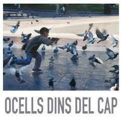 Ocells Dins Del Cap - Single by Soni album reviews, ratings, credits