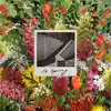 In Spring - EP album lyrics, reviews, download