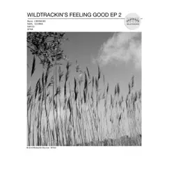 Wildtrackin's Feeling Good 2 - EP by Wave Crushers, Karl Sierra, Gavio & DFRA album reviews, ratings, credits