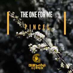 The One for Me / Pincel - Single by Gemini Chris album reviews, ratings, credits