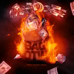 Bag Otw - Single by Ovadoze album reviews, ratings, credits