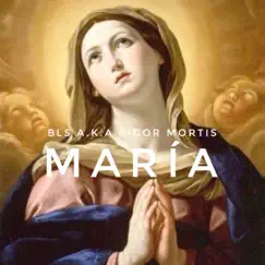 María - Single by Bls a.k.a Rigor Mortis & Rigor Mortis Prods album reviews, ratings, credits